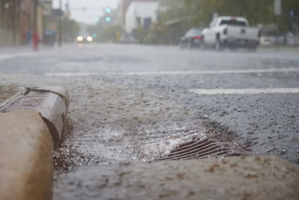 Metal catch basin grate collecting surface water